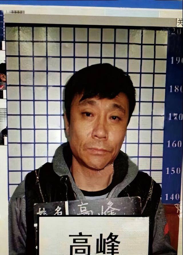 关于20年前，那个让那英甘愿“未婚生子”的前国脚高峰，如今过得怎样的信息